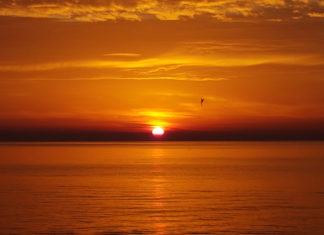 Quello che si fa a Capodanno, si farà tutto l’anno