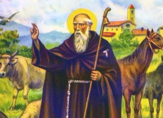 Sempre viva Sant’Antonio!