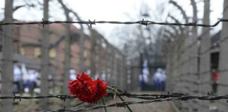 L’Olocausto, Auschwitz, la memoria, Primo Levi e gli occhi di Anna Frank