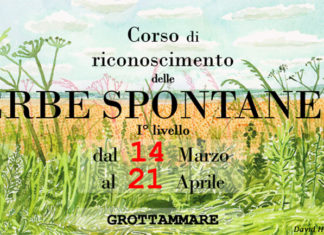 Grottammare, arriva il primo “Corso di riconoscimento delle Erbe spontanee”