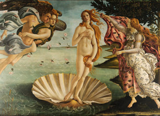 La rosa, perenne regina di bellezza