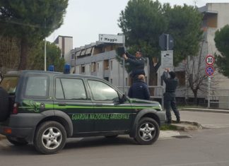 Controlli sul conferimento dei rifiuti, a Monteprandone arriva la seconda telecamera mobile