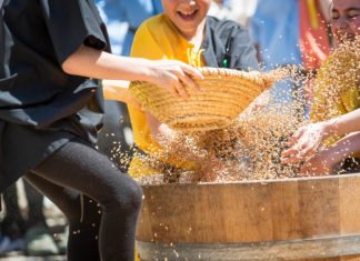 Palio del Duca, Andrea Tomassini vince il concorso fotografico dedicato ai giochi storici