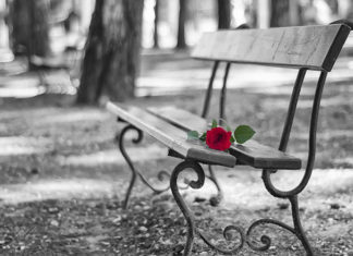 Cossignano, al via la mostra fotografica collettiva “La panchina racconta”