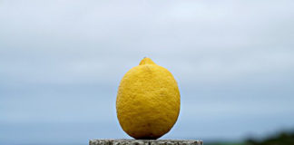 Gianpaolo, regista dell’invisibile, e i limoni
