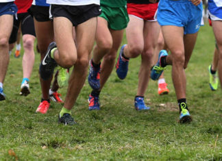 8° Cross Città di Castelraimondo, circa 300 atleti in gara. Ecco i risultati