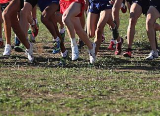 Ancona, prima prova Campionato di Società Cross Assoluti. Ecco i risultati