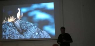 Progetto “Foresta vetusta” all’Isc Centro: «Il bosco diventerà un libro del sapere»