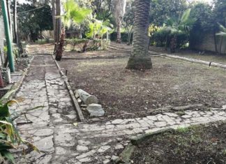 “Mattinate Fai d’Inverno”, studenti in visita al Parco di Villa Rambelli