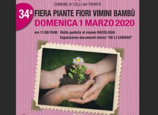 Colli del Tronto: confermata per domenica la Fiera dedicata a piante, fiori, vimini e bambù