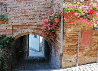 Progetto Paese: «Fiori e piante sui balconi di Ripatransone per diffondere sul web un’immagine colorata del borgo»