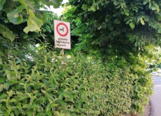 Ripatransone, Progetto Paese: «Nel centro storico erba alta e 21 lampioni non funzionanti»