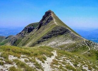 San Benedetto, dopo Topolino gli alunni della “Curzi” portano la Sibilla a New York