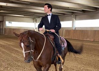 “Antichi amori tra arte e musica”, Nikos Angelis in concerto a Corropoli