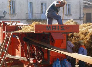 A Ripatransone torna la “Festa del Grano”, due giorni all’insegna della tradizione