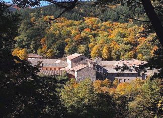 Le sette piante della regola camaldolese