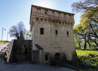 Montalto Marche, la Cantina Valdaso presenta il suo primo corso per sommelier