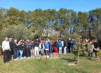 IIS “Capriotti”, tutela del patrimonio arboreo e inclusione per la Giornata Nazionale dell’Albero