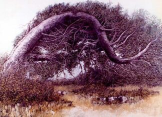 “I Venerdì del Circolo dei Sambenedettesi”, il grande artista Mario Lupo raccontato da sua figlia Maristella