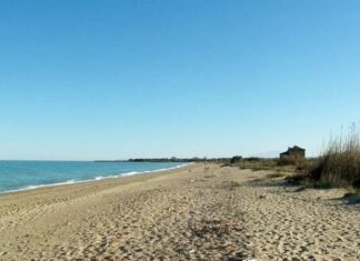 Solstizio d’estate in musica alla Riserva Sentina con Martin Diaz Gonzales