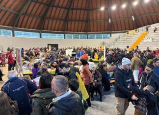 “Folignano Brick”, weekend con i mattoncini Lego al PalaRozzi di Villa Pigna