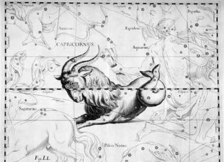 Il Capricorno, tutti i “segreti” del decimo segno zodiacale