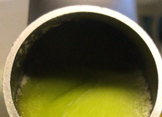 L’Olio “de la Marchia”, oro giallo delle nostre terre