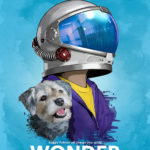 Wonder film