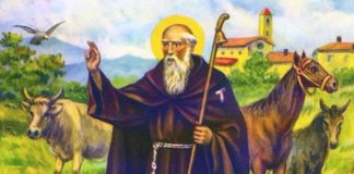 Sempre viva Sant’Antonio!