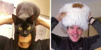 E vissero tutti felini e contenti