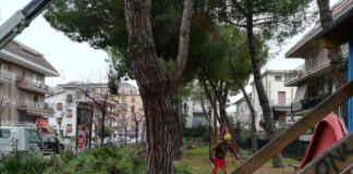 Grottammare, è partita la messa in sicurezza del verde stradale