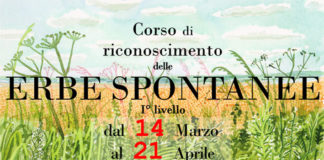 Grottammare, arriva il primo “Corso di riconoscimento delle Erbe spontanee”