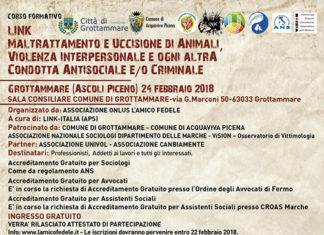 Maltrattamento animali, le associazioni L’amico fedele e Link scendono in campo con un evento regionale