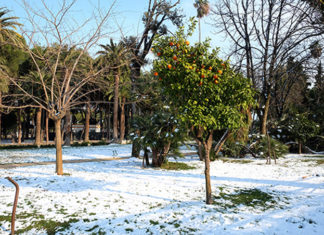 Neve in Riviera, ora c’è il rischio gelate