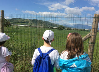 Ponte di Pasqua con l’Invalsi: bambini in lacrime