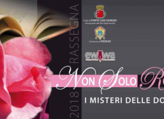 “Non solo rosa”, i misteri delle donne raccontati in una rassegna di incontri al femminile