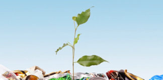 “Scuola verso rifiuti zero”, un progetto rivolto ai bambini per capire l’importanza delle pratiche ambientali