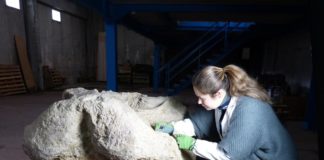 Al via la collaborazione fra Unicam e Museo Paleontologico di Montevarchi