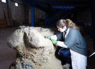 Al via la collaborazione fra Unicam e Museo Paleontologico di Montevarchi