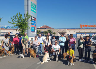 Successo per la “Camminata a 6 zampe”, partecipanti provenienti da Marche e Abruzzo