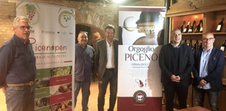 “Divino in vino è”, a Offida un’iniziativa di promozione per i bianchi piceni