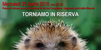 Il 25 aprile in Sentina, reintroduzioni faunistiche aperte al pubblico