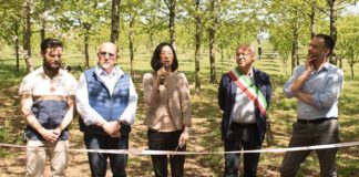 Pedaso Hanami 2018, grande successo per la festa dei ciliegi in fiore