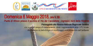 Riserva Sentina, visita guidata il 6 maggio per l’osservazione dell’avifauna