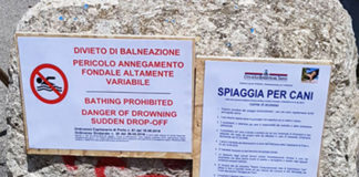 Spiaggia per cani? Il consigliere Del Zompo ricorda a Marzonetti che c’è già