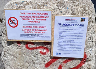 Spiaggia per cani? Il consigliere Del Zompo ricorda a Marzonetti che c’è già