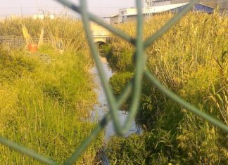 Elio Core scrive alla Picenambiente: «Degrado e incuria nelle periferie di Porto d’Ascoli»