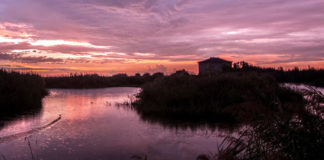 “Al tramonto”, concerto serale in Sentina con la Kinder Orchestra