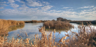 “Settembre in natura”, un ricco calendario di eventi organizzato dai Cea delle Marche. Tappa anche alla Sentina