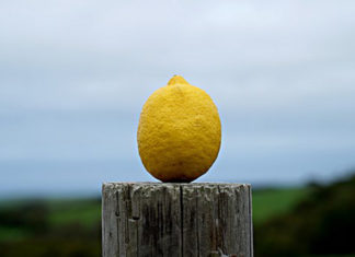Gianpaolo, regista dell’invisibile, e i limoni